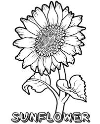 We've got a huge collection of original flower colouring pages we hope you like them! Free Sunflower Coloring Pages For Kids Free Coloring Sheets Sunflower Coloring Pages Summer Coloring Pages Easy Coloring Pages