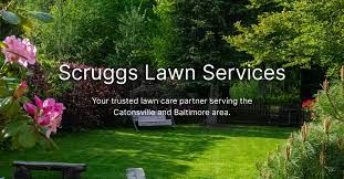 Scruggs Lawn Services