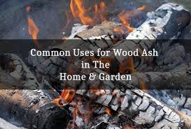 Is fireplace ash good for grass? Will Charcoal Ash Kill Grass