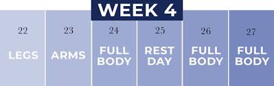 30 day beginner workout plan videos