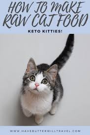 There are not that many no carb foods out there. Raw Cat Food Recipe Keto Kitties With Allergies Have Butter Will Travel