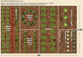 19 Vegetable Garden Plans Layout