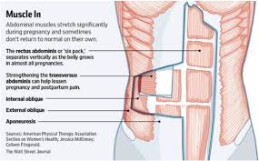 your core during pregnancy