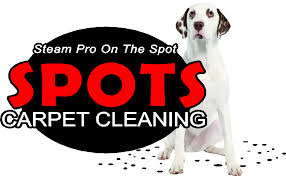 spots carpet tile cleaning in