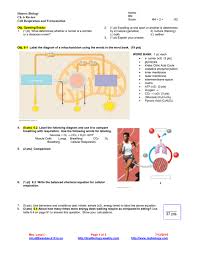 Honors Biology Ch 6 Review Cell