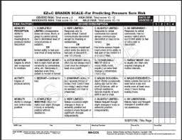 Braden Scale Assessment Form Research Paper Sample
