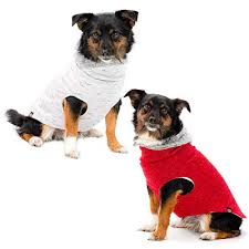 Top Dog Sweater Long Body For 2019 Pokrace Com