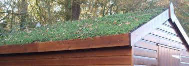 A Guide To Green Roof Construction