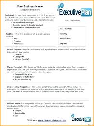 Business Executive Summary Template Doc Example Word Plan