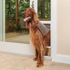 Pet Door Ppa11 13132