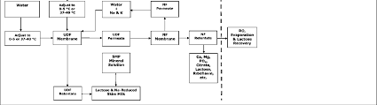Process Flow Chart For Membrane Fractionation Of Skim Milk