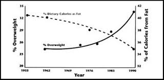 Big Fat Food Lies Nutrition Lie 1 Eating Fat Makes You Fat