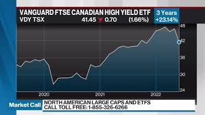 stan wong discusses vanguard ftse