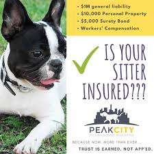 Your pet sitting insurance policy will provide you with up to £10 million worth of public liability, £50 as a pet sitter, it's important to have full pet sitters liability insurance to protect you should anything. Pet Sitting Archives Peak City Puppy