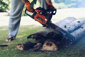 How to start up a echo chainsaw. Does A Chainsaw Need To Warm Up Garden Tool Expert