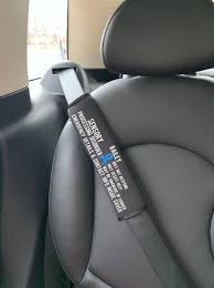 Sensory Processing Disorder Seatbelt