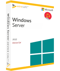 CAL Windows Server 2022 Microsoft CAL dla Windows Server Client Access  License (CAL) | Wiresoft - Twój kontakt w sprawie używanych licencji na  oprogramowanie Microsoft