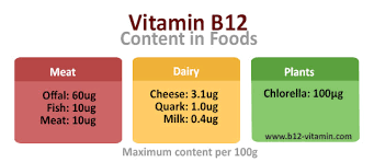 Vitamin B12 Foods Dr Schweikart