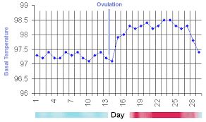 Progesterone Ovulation And Bbt Charting Www Early