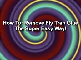 how to remove fly trap glue the