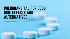 Phenobarbital For Dogs Side Effects Phenobarbital