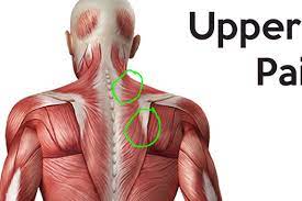 sharp pain in neck and upper back when