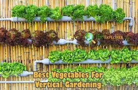 vertical gardening