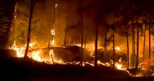 The caldor fire broke out in the el dorado national forest on saturday evening. El3q8ptadvcrym
