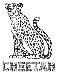 cool cheetah coloring pages for kids