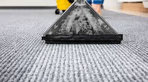 best carpet care systems disaster