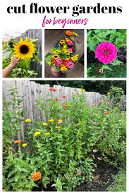 How To Create A Cut Flower Garden For