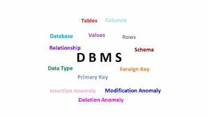 Database Management System Basics