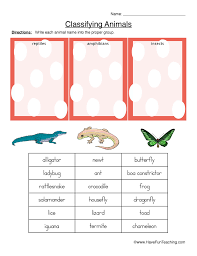 Classifying Reptiles Amphibians Or Insects Worksheet Have