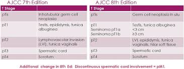 Challenges With The 8th Edition Of The Ajcc Cancer Staging