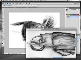 The best free drawing software for windows offers a pragmatic simulation of colors, textures, effects, and tools to work seamlessly in three dimensions krita is one of the best drawing apps for pc with powerful 2d and 3d animation. Best Drawing Apps For Mac 2021 Free Paid Softwares
