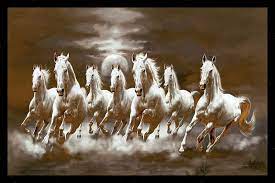 white horse hd wallpaper