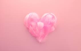 Premium Photo Pink Feathers Heart On