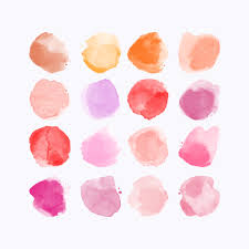 seint makeup palette color match chart