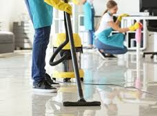 dynamic carpet cleaning solutions