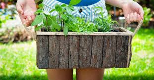 Easy Container Gardening Tips For