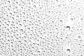 White Background Water Drops