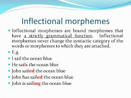 Using the same example, the lexical morpheme of the word unkindness would be the morpheme kind. Ppt Types Of Morphemes Powerpoint Presentation Free Download Id 2222139
