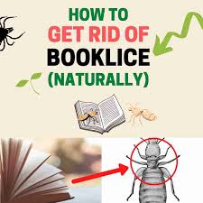 how to get rid of booklice naturally
