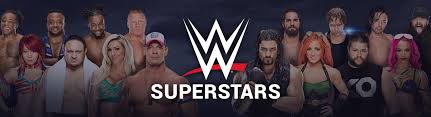 Image result for wwe superstar male and female