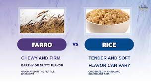 farro vs rice the differences you