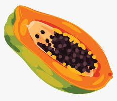 Papaya pawpaw , cartoon hand painted papaya with papaya tree png clipart. Fruits Black And White Clipart Papaya Clip Art Of Papaya Hd Png Download Transparent Png Image Pngitem