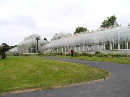 national botanic gardens curvilinear
