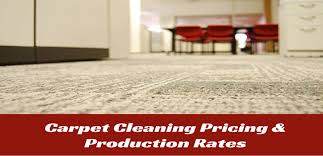Carpet Cleaning Ion Rates
