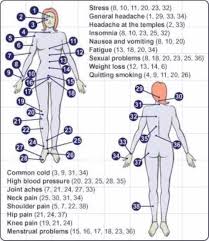 Massage Trigger Point Chart Pain Pressure Points Chart
