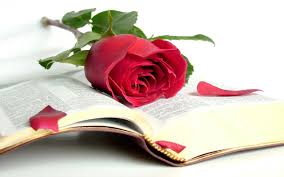 Resultado de imagen de sant jordi: la rosa y el libro